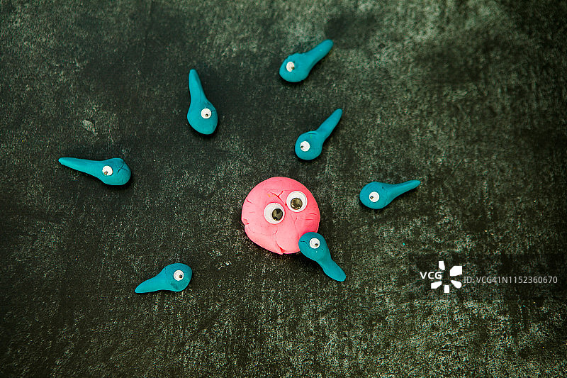 准备使卵子受精的精子细胞，新生命图片素材