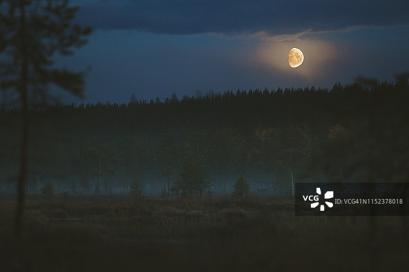 森林上空的月亮图片素材