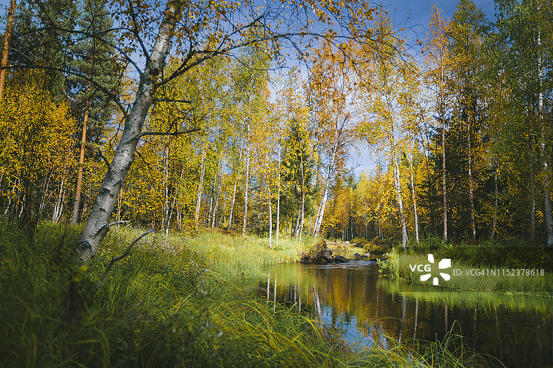 森林河图片素材