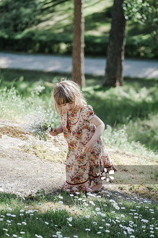 女孩采摘鲜花图片素材