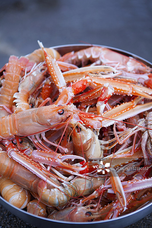 小龙虾图片素材