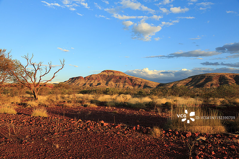汤姆普莱斯的干旱景观图片素材