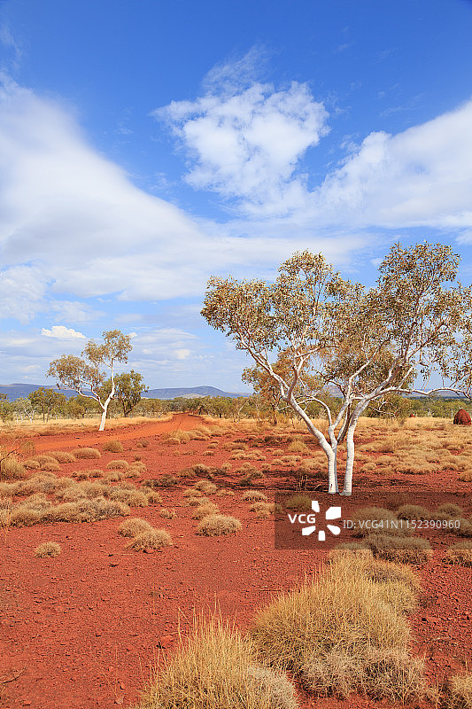 卡里吉尼国家公园图片素材