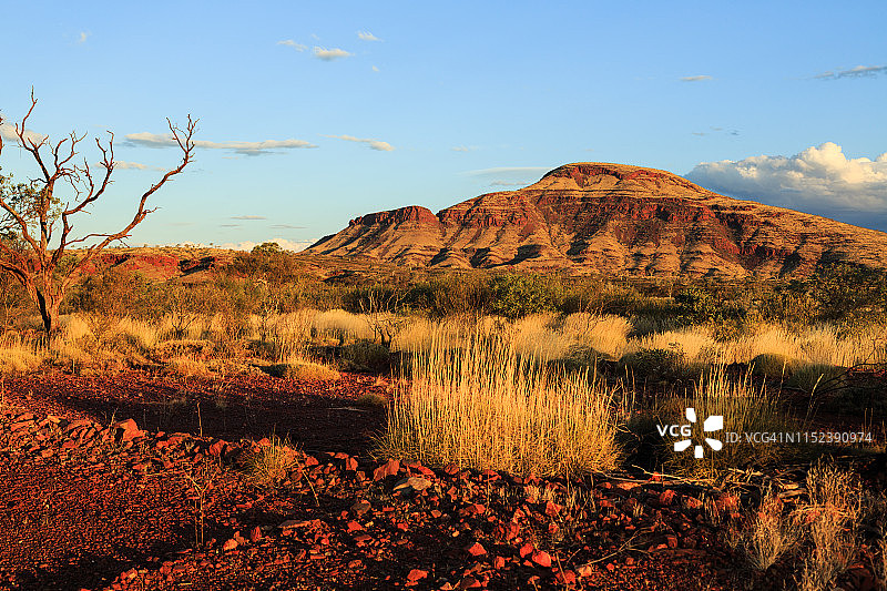 汤姆普莱斯的干旱景观图片素材