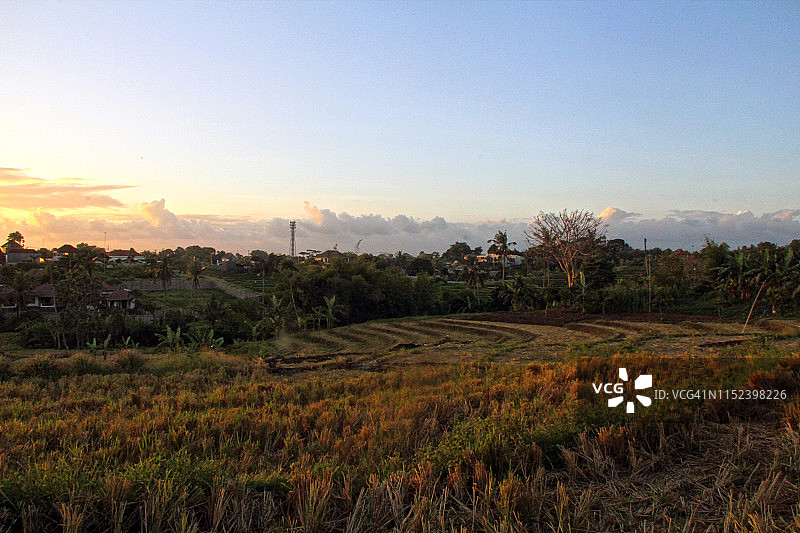 收获后稻田的风景图片素材