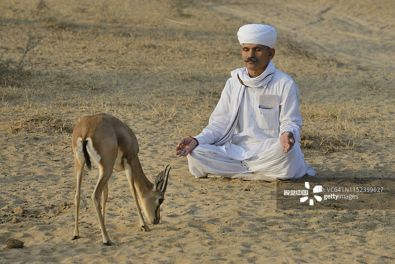 印度拉贾斯坦邦焦特布尔地区比什诺伊教徒在印度瞪羚前冥想图片素材