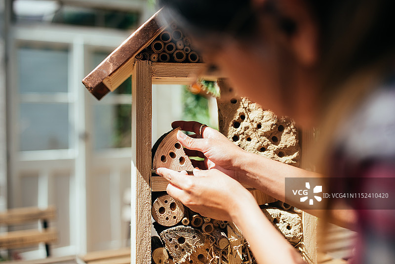 女人建造DIY昆虫旅馆图片素材