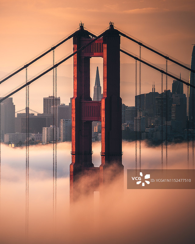 低雾日出时金门大桥框住的泛美金字塔图片素材