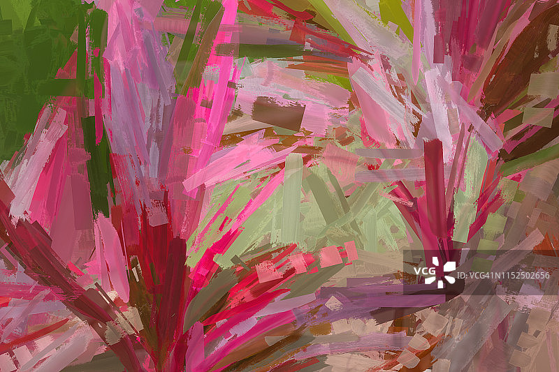 龙血树图片素材