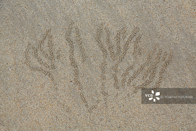 九十英里海滩上螃蟹爬过的沙滩痕迹图片素材