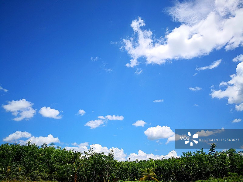 蓝天绿树，留白背景图片素材