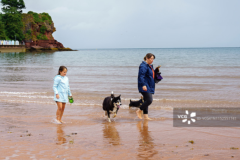 十岁女孩遛狗图片素材