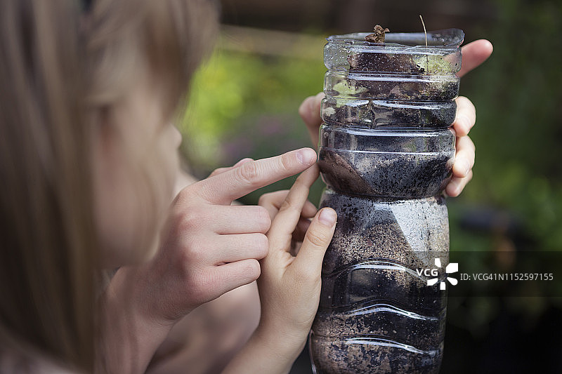 两个孩子在用回收塑料瓶自制的小型蚯蚓养殖箱里寻找蚯蚓图片素材