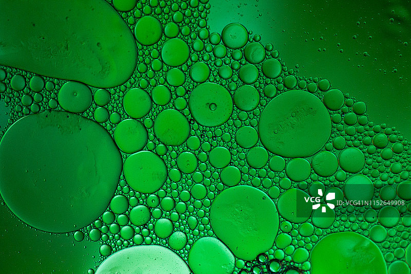 漂浮在水面上的油滴形成彩色抽象圆圈图片素材