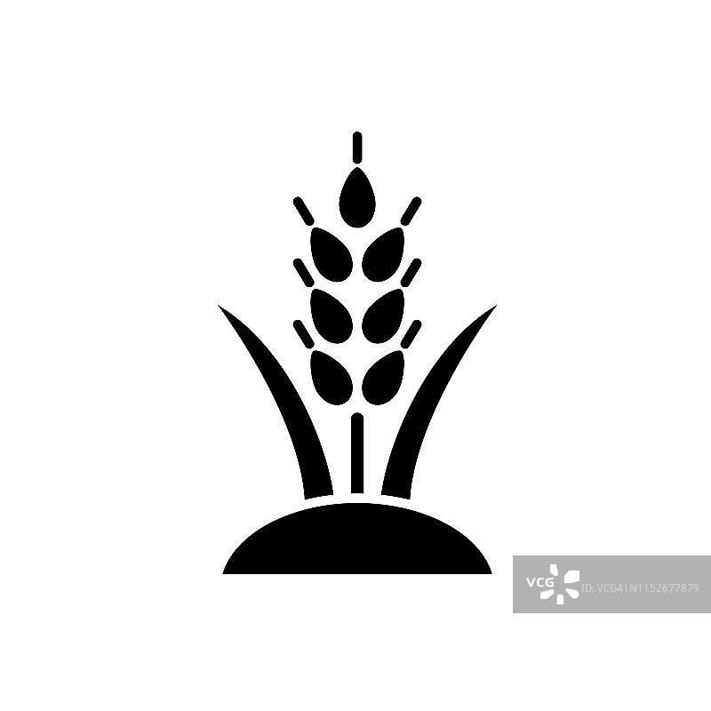 农业和农耕扁平风格图标：小麦图片素材