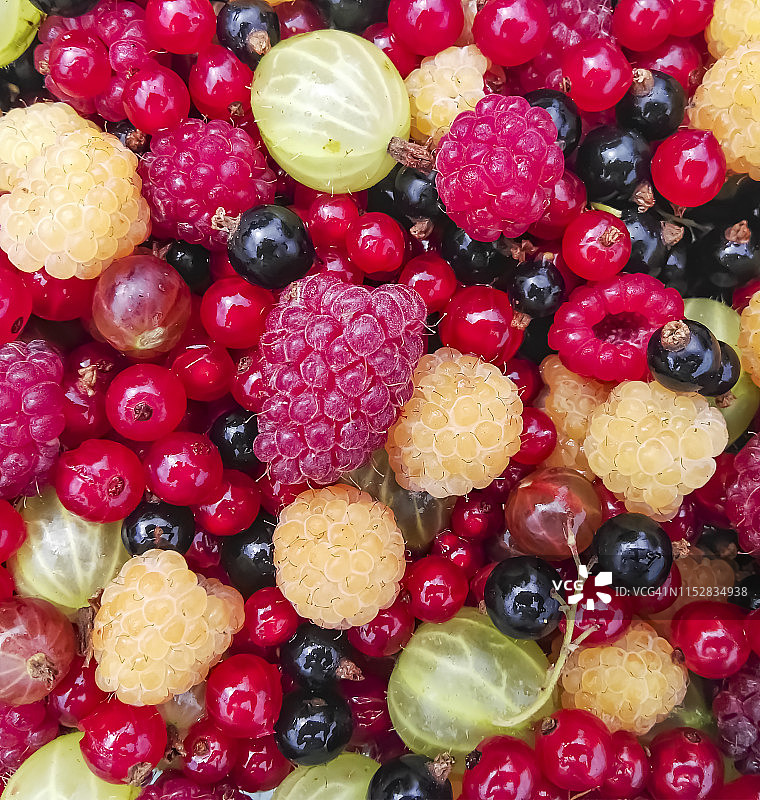 混合夏季浆果图片素材