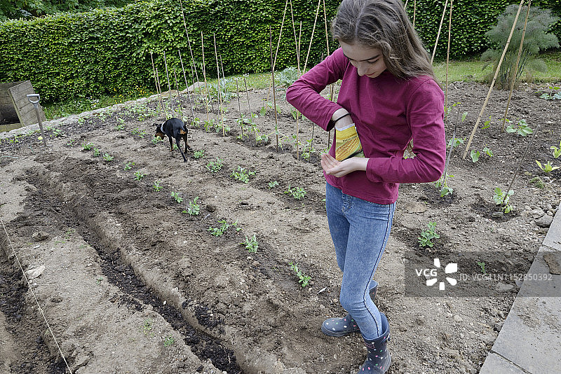 拿着甜玉米种子包的女孩图片素材