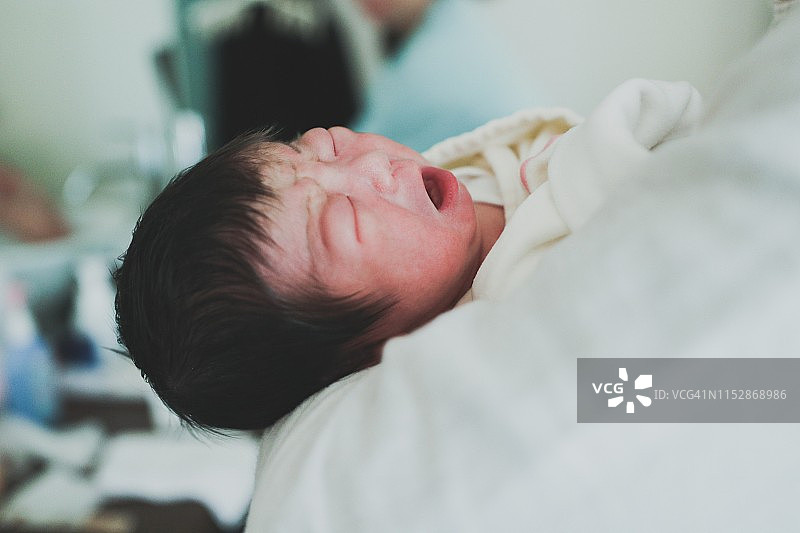 你好，我的家人！图片素材