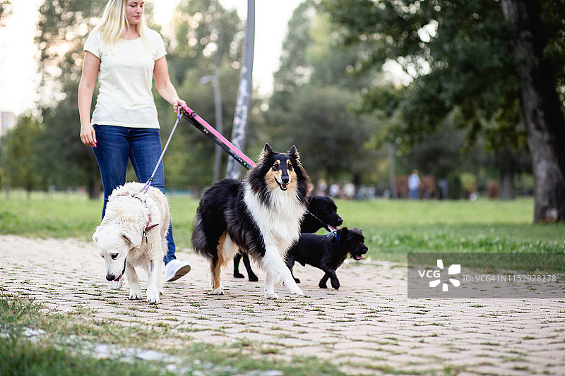 遛狗人图片素材