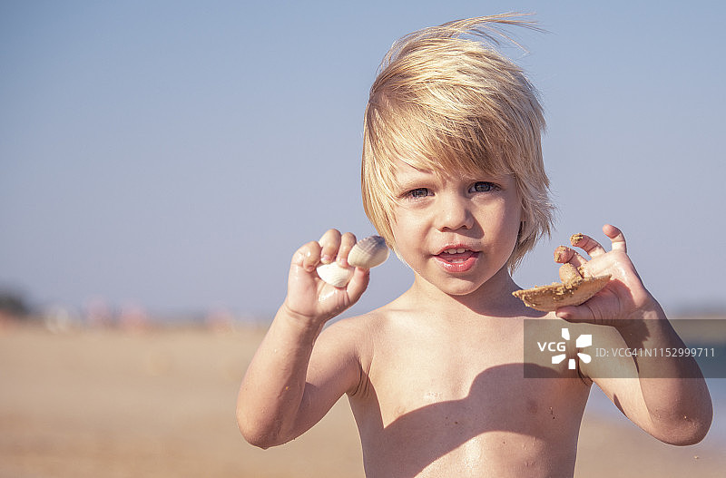 小男孩在葡萄牙阿尔加维收集贝壳图片素材