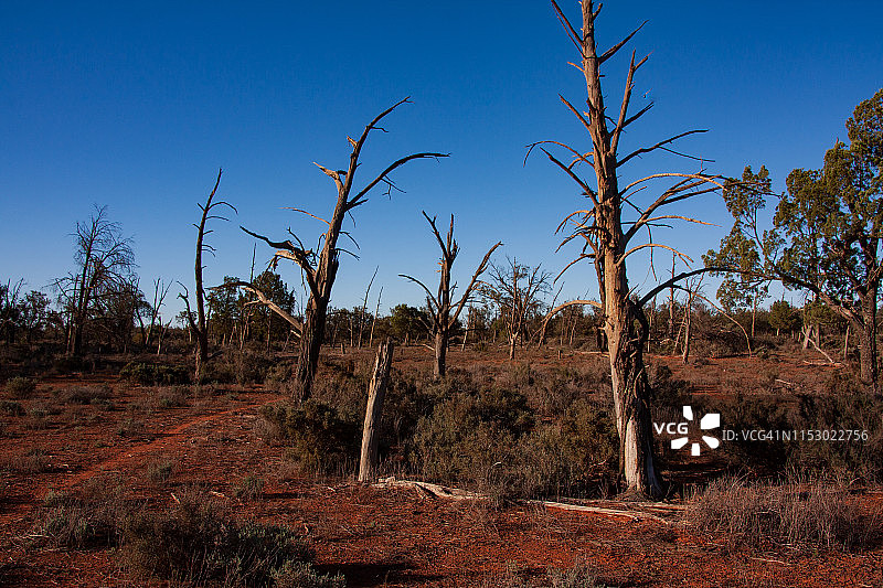 生态破坏图片素材