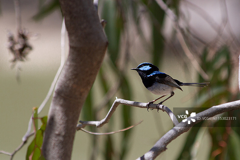 摆姿势图片素材
