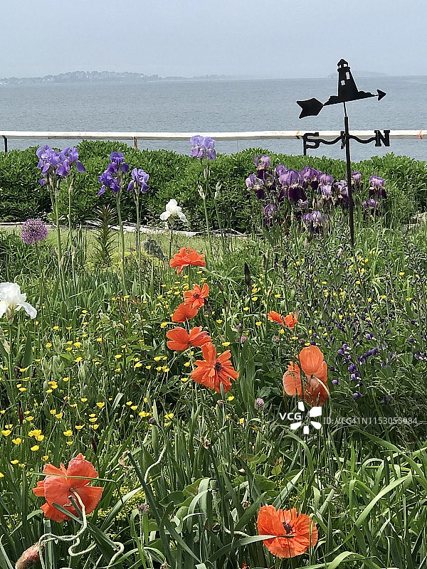 雾中的滨海湾花园图片素材