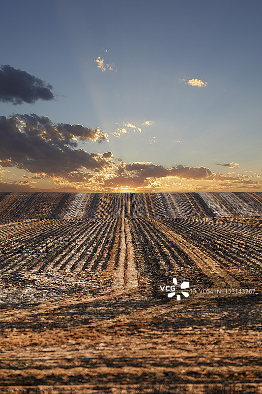 烧毁的耕地图片素材