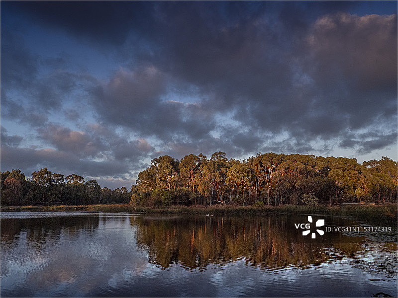 维多利亚州特拉拉尔根西吉普斯兰铁路自然保护区图片素材