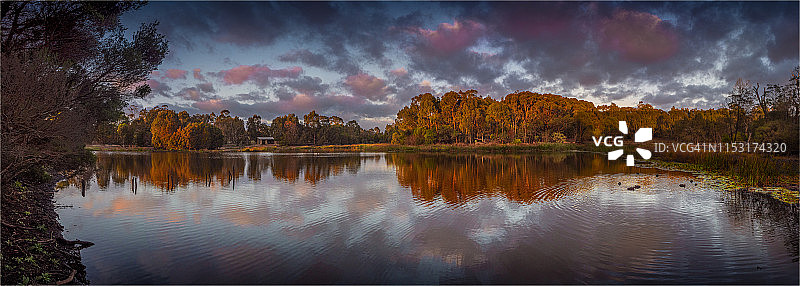 维多利亚州特拉拉尔根西吉普斯兰铁路自然保护区图片素材