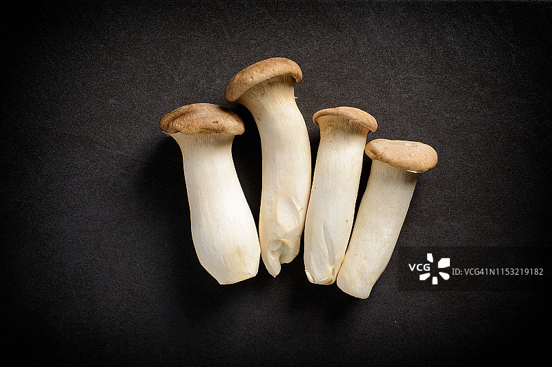 牡蛎蘑菇图片素材