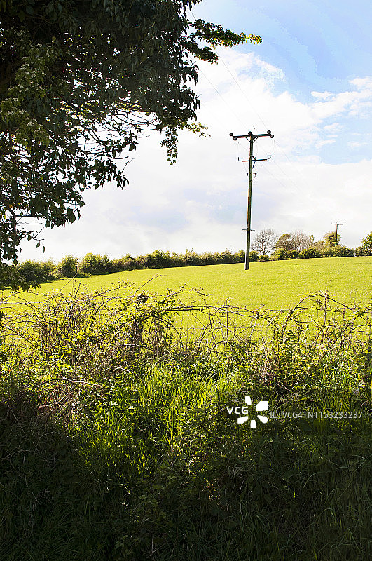 乡村环境中的高压电线杆图片素材