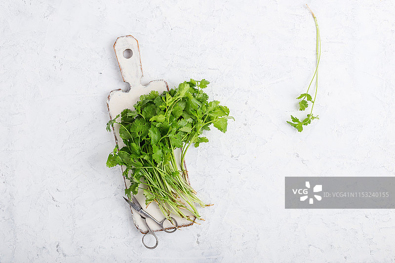 自家种植的有机香菜图片素材