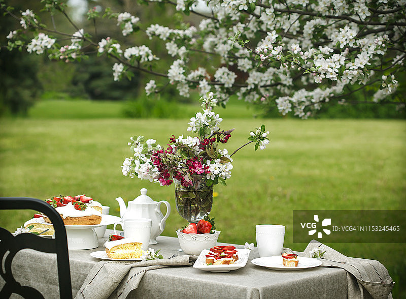 花园里的下午茶、蛋糕、意式烤面包配意大利乳清干酪和草莓图片素材