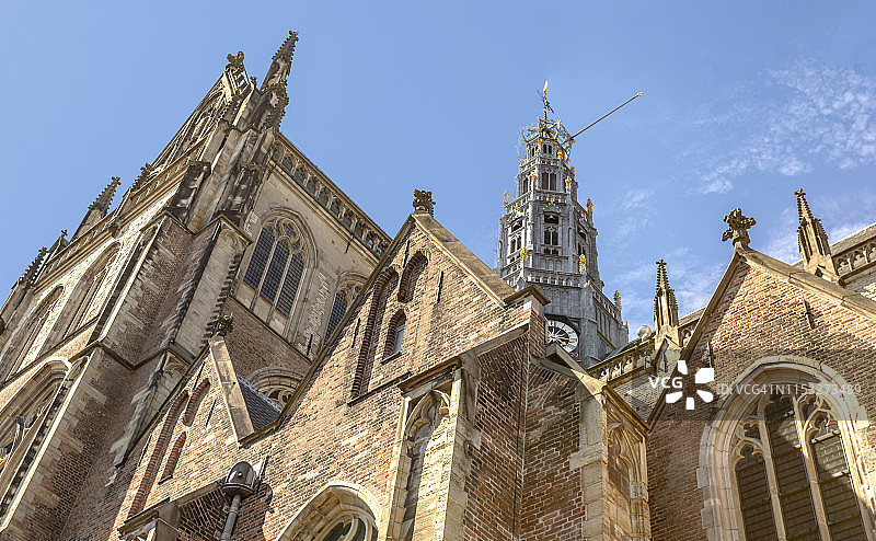 仰视角度拍摄的位于荷兰北荷兰省哈勒姆市Grote Markt的新教教堂De Grote Kerk或St. Bavokerk图片素材
