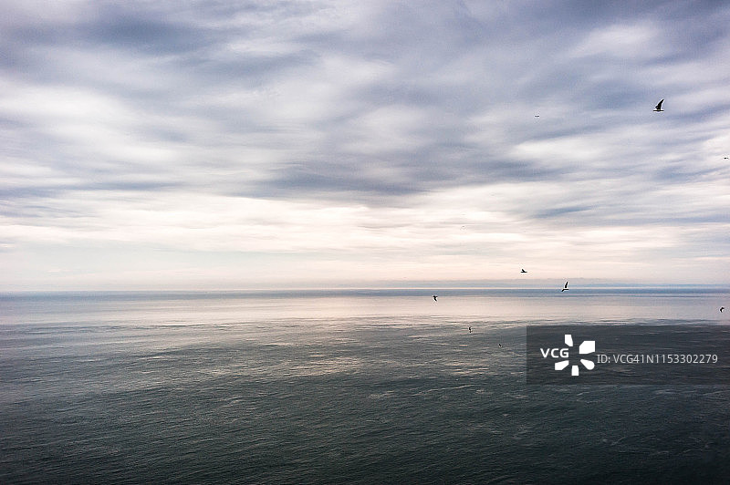 加拿大新不伦瑞克省芬迪湾，大马南岛平静一天的海鸥飞行图片素材