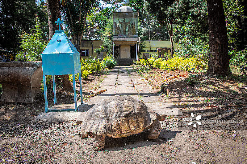 稳扎稳打图片素材