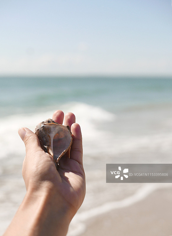 手里的美丽海螺，以海景为背景图片素材