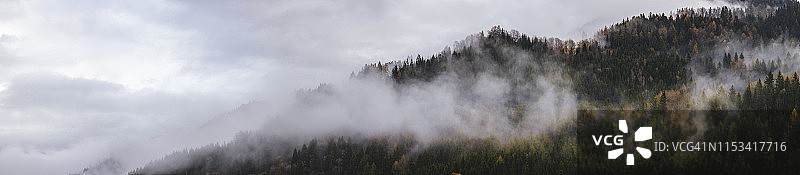 雾天针叶林覆盖的山脉全景图片素材
