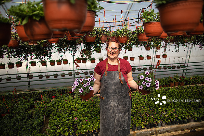 红发女人手捧矮牵牛花盆图片素材