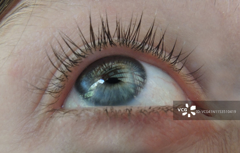 眼睛特写图片素材