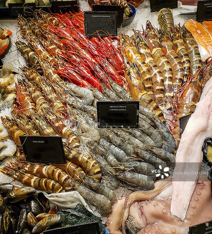 冰镇新鲜海鲜图片素材