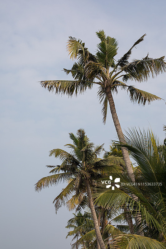 印度自然风光图片素材