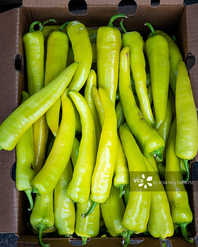 绿色辣椒图片素材