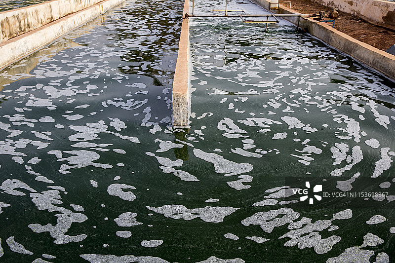 布基纳法索瓦希古亚的螺旋藻养殖场图片素材