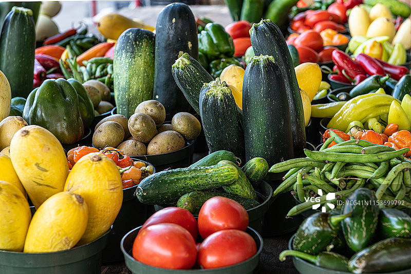 西红柿、黄瓜、豆类、南瓜、土豆、辣椒和西葫芦图片素材
