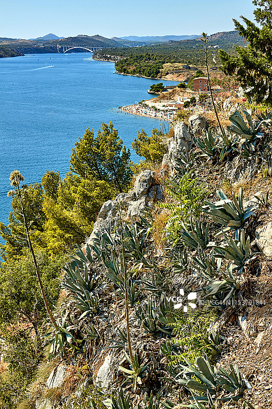 圣米迦勒堡垒山坡上的龙舌兰图片素材