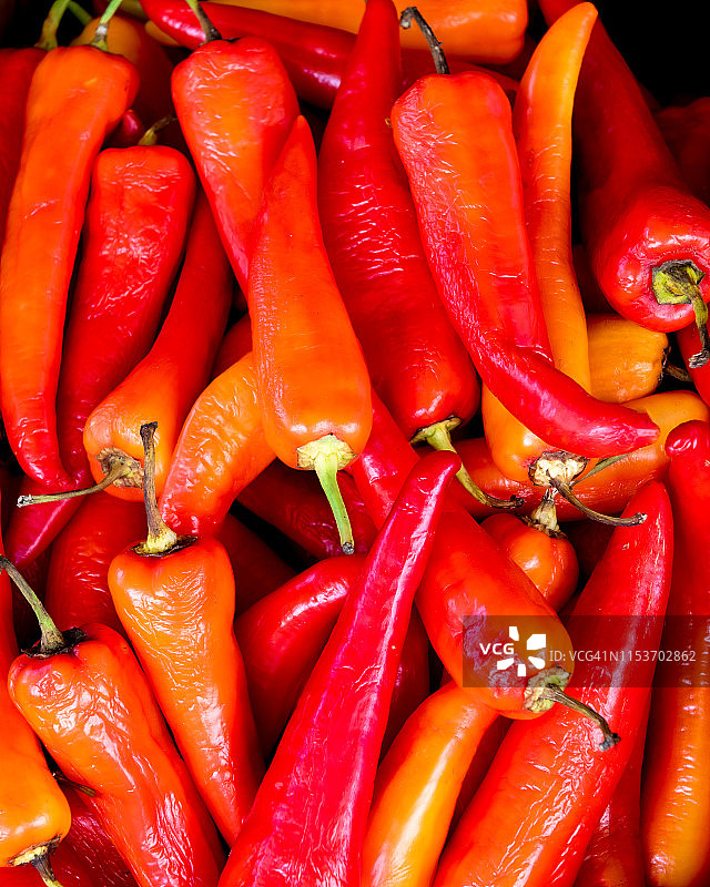 红色长辣椒图片素材