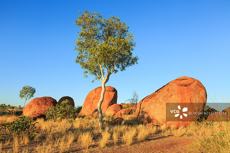 卡尔卢卡尔卢/魔鬼大理石保护区，澳大利亚北部领地图片素材