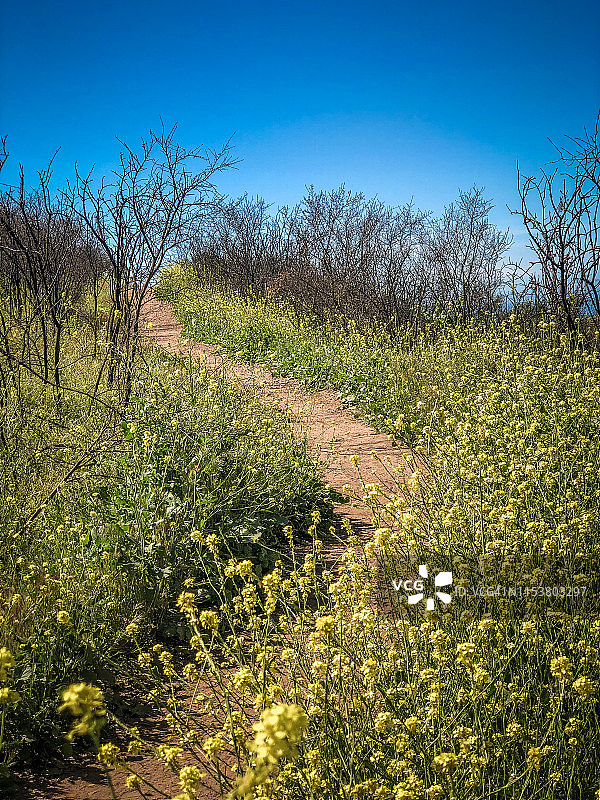 圣莫尼卡山脉中的美丽小径图片素材